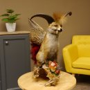 Wolpertinger Wolpi Fuchs mit Hörner Flügel rotem Schwanz Punk Präparat Fabelwesen