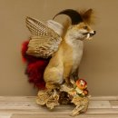 Wolpertinger Wolpi Fuchs mit Hörner Flügel rotem Schwanz Punk Präparat Fabelwesen