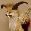 Wolpertinger Wolpi Fuchs mit Hörner Flügel rotem Schwanz Punk Präparat Fabelwesen