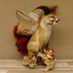 Wolpertinger Wolpi Fuchs mit Hörner Flügel rotem Schwanz Punk Präparat Fabelwesen