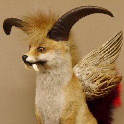 Wolpertinger Wolpi Fuchs mit Hörner Flügel rotem Schwanz Punk Präparat Fabelwesen