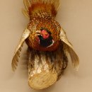 Jagdfasan Fasan Ganzpräparat Vogel Präparat Trophäe mit Herkunftsnachweis 90.5.69