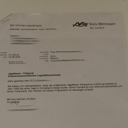 Jagdfasan Fasan Ganzpräparat Vogel Präparat Trophäe mit Herkunftsnachweis 90.5.70