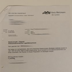 Waldschnepfe Vogel Präparat präpariert Tierpräparat mit Genehmigung zur Vermarktung 90.18.10