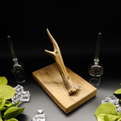 Schnapsanbieter 2 Steckgläser klein mit Stil Gläser rustikales Holz Rehstange Ständer Set Schnaps Geschenk Neu