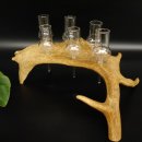 Schnapsanbieter 6 Gläser große mit Stiel auf Damhirschstange Ständer Steckglas Set Schnaps Geschenk Neu 27.60.3.37