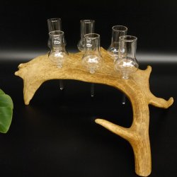 Schnapsanbieter 6 Gläser große mit Stiel auf Damhirschstange Ständer Steckglas Set Schnaps Geschenk Neu 27.60.3.37