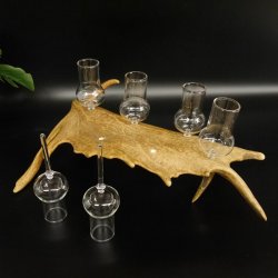 Schnapsanbieter 6 Gläser große mit Stiel auf Damhirschstange Ständer Steckglas Set Schnaps Geschenk Neu 27.60.3.37