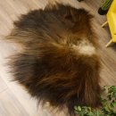 Moschusochse Fell Vorleger mit HKN 170 x 120 cm Vorleger Teppich
