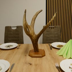 Brezelständer Ständer Rothirschgeweihstange Hirsch Höhe 49 cm Hirschstange