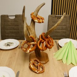 Brezelständer Ständer Rothirschgeweihstange Hirsch Höhe 49 cm Hirschstange