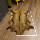 Gams Fell Tierfell Gamsfell Gemse Vorleger Dekoration Länge 123 cm 87.7.19