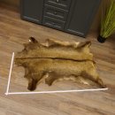Gams Fell Tierfell Gamsfell Gemse Vorleger Dekoration Länge 123 cm 87.7.19