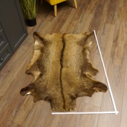 Gams Fell Tierfell Gamsfell Gemse Vorleger Dekoration Länge 123 cm 87.7.19