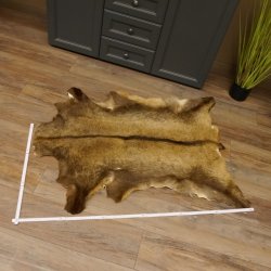 Gams Fell Tierfell Gamsfell Gemse Vorleger Dekoration Länge 123 cm 87.7.19
