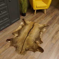 Gams Fell Tierfell Gamsfell Gemse Vorleger Dekoration Länge 123 cm 87.7.19