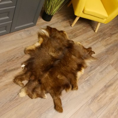 Gams Fell Tierfell Gamsfell Gemse Vorleger Dekoration Länge 120 cm 87.7.20
