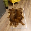 Gams Fell Tierfell Gamsfell Gemse Vorleger Dekoration Länge 120 cm 87.7.20