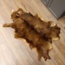 Gams Fell Tierfell Gamsfell Gemse Vorleger Dekoration Länge 120 cm 87.7.20