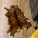 Gams Fell Tierfell Gamsfell Gemse Vorleger Dekoration Länge 120 cm 87.7.20