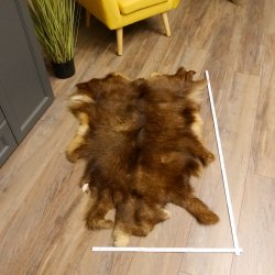Gams Fell Tierfell Gamsfell Gemse Vorleger Dekoration Länge 120 cm 87.7.20