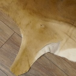 Impala Antilope Impalafell Fell Vorleger Länge 135 cm