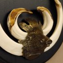 Keilerwaffen Wildschweinwaffen (Sus scrofa) Trophäe Keiler Gewaff Trophäenschild