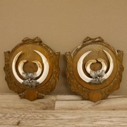 Keilerwaffen 2 Stück Wildschweinwaffen (Sus scrofa) L max. 20,3 + 21,5 cm Trophäe Keiler Gewaff Trophäenschild