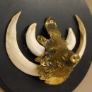 Keilerwaffen Wildschweinwaffen (Sus scrofa) L bis 15,5 cm Trophäe Keiler Gewaff Trophäenschild