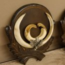 Keilerwaffen 3 er Set Wildschweinwaffen (Sus scrofa) L...