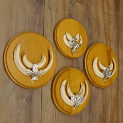 Keilerwaffen 4 er Set Wildschweinwaffen (Sus scrofa) L bis 12,5 cm Trophäe Keiler Gewaff Trophäenschild