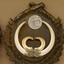 Keilerwaffen 2 er Set Wildschweinwaffen (Sus scrofa) Medaillen Trophäe Keiler Gewaff Trophäenschild