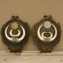 Keilerwaffen 2 er Set Wildschweinwaffen (Sus scrofa) Medaillen Trophäe Keiler Gewaff Trophäenschild