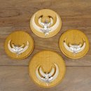 Keilerwaffen 4 er Set Wildschweinwaffen (Sus scrofa) L...