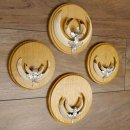 Keilerwaffen 4 er Set Wildschweinwaffen (Sus scrofa) L bis 15 cm Trophäe Keiler Gewaff Trophäenschild