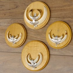 Keilerwaffen 4 er Set Wildschweinwaffen (Sus scrofa) L bis 15 cm Trophäe Keiler Gewaff Trophäenschild