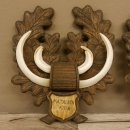 Keilerwaffen 2 er Set Wildschweinwaffen (Sus scrofa) L bis 17,2 cm Trophäe Keiler Gewaff Trophäenschild