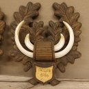 Keilerwaffen 2 er Set Wildschweinwaffen (Sus scrofa) L bis 17,2 cm Trophäe Keiler Gewaff Trophäenschild