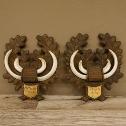 Keilerwaffen 2 er Set Wildschweinwaffen (Sus scrofa) L bis 17,2 cm Trophäe Keiler Gewaff Trophäenschild