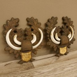 Keilerwaffen 2 er Set Wildschweinwaffen (Sus scrofa) L bis 17,2 cm Trophäe Keiler Gewaff Trophäenschild