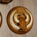 Keilerwaffen 5 er Set Wildschweinwaffen (Sus scrofa) L bis 18,6 cm Trophäe Keiler Gewaff Trophäenschild