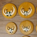 Keilerwaffen 7 er Set Wildschweinwaffen (Sus scrofa) L bis max. 14,5 cm Trophäe Keiler Gewaff Trophäenschild