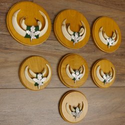 Keilerwaffen 7 er Set Wildschweinwaffen (Sus scrofa) L bis max. 14,5 cm Trophäe Keiler Gewaff Trophäenschild
