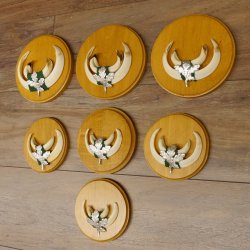 Keilerwaffen 7 er Set Wildschweinwaffen (Sus scrofa) L bis max. 14,5 cm Trophäe Keiler Gewaff Trophäenschild