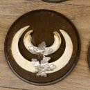 Keilerwaffen 6 er Set Wildschweinwaffen (Sus scrofa) L bis max. 17 cm Trophäe Keiler Gewaff Trophäenschild