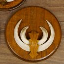 Keilerwaffen 3 er Set Wildschweinwaffen (Sus scrofa) L bis 13,8 cm Trophäe Keiler Gewaff Trophäenschild