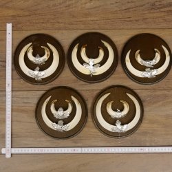 Keilerwaffen 5 er Set Wildschweinwaffen (Sus scrofa) L bis 17,5 cm Trophäe Keiler Gewaff Trophäenschild