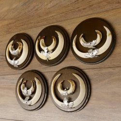 Keilerwaffen 5 er Set Wildschweinwaffen (Sus scrofa) L bis 17,5 cm Trophäe Keiler Gewaff Trophäenschild