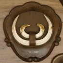 Keilerwaffen 4 er Set Wildschweinwaffen (Sus scrofa) L bis 21 cm Trophäe Keiler Gewaff Trophäenschild