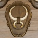 Keilerwaffen 4 er Set Wildschweinwaffen (Sus scrofa) L bis 21 cm Trophäe Keiler Gewaff Trophäenschild